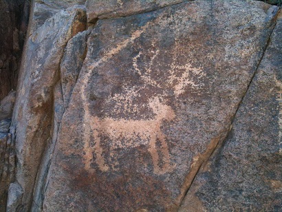 * American Indian Mountain Lion Rock Carving *