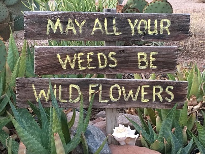 * May All Your Weeds Be Wildflowers *